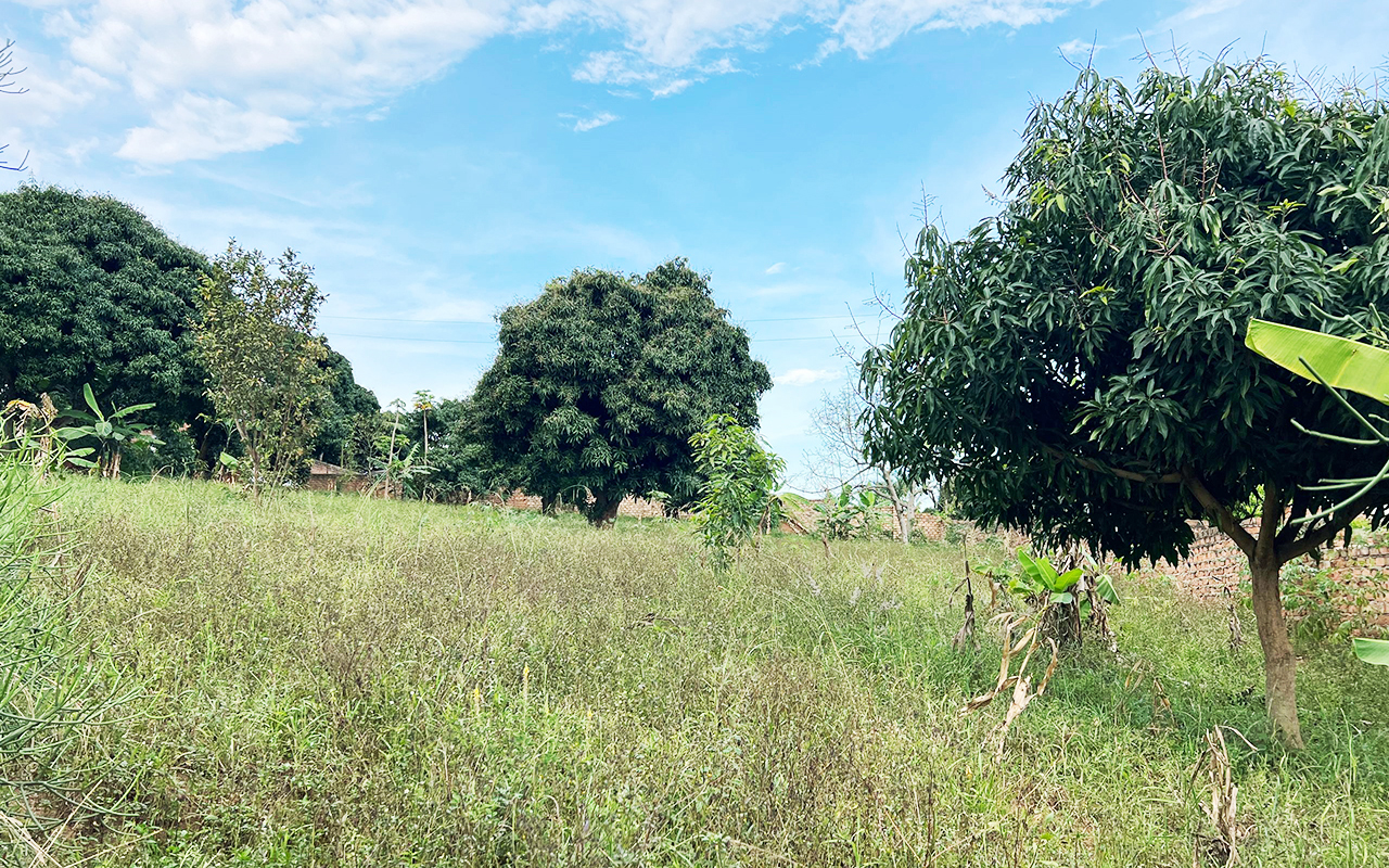 WhatsApp Image 2025-09-23 at 10.31.05.jpeg